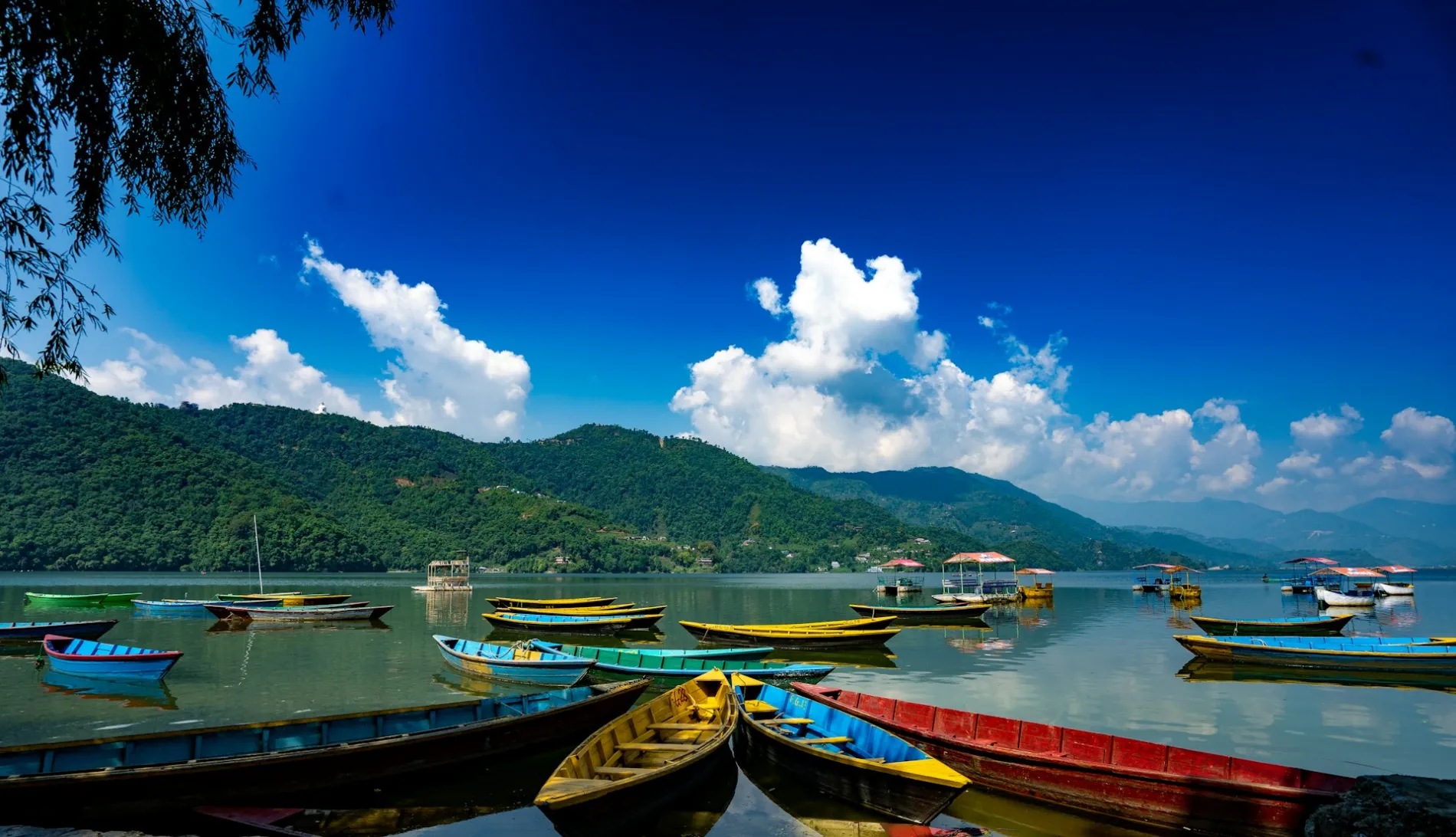 Gorkha Vision Travels & Tours - Find Your Next Escape