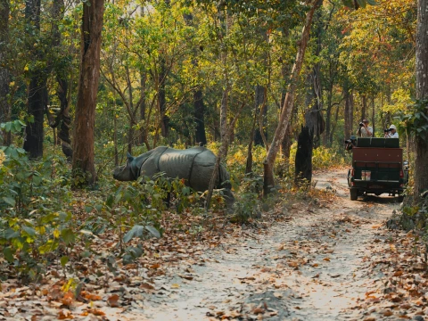 Kathmandu Chitwan Tour