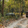 A one horned rhino in Chitwan National Park